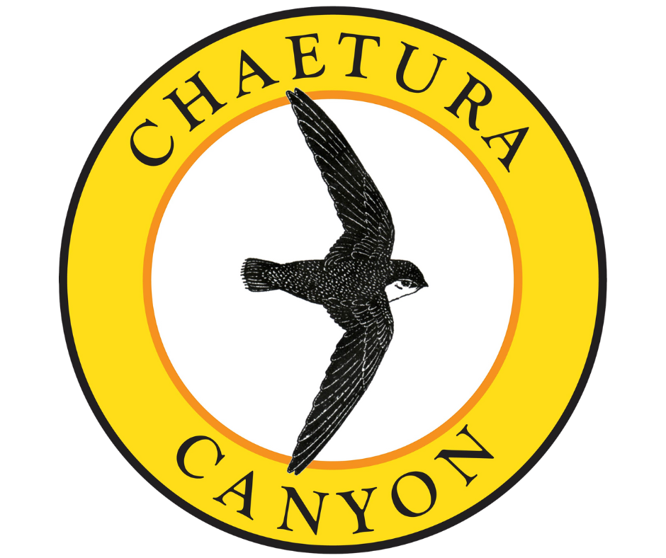Chaetura Canyon Logo Transparent Background
