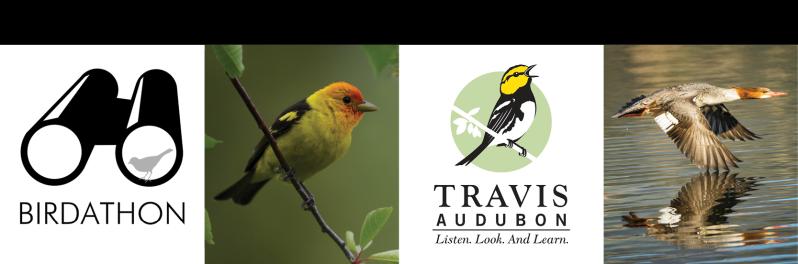 Fundraising Header image