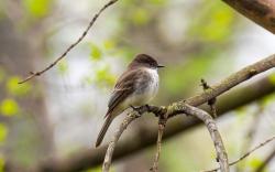 Fundraising Page Image