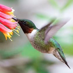 Fundraising Page Image