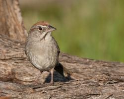 Fundraising Page Image