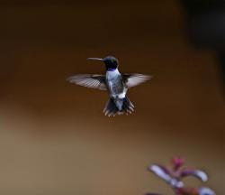 Fundraising Page Image