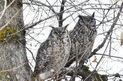 Fundraising Page Image