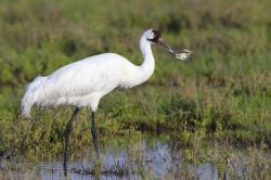 Fundraising Page Image