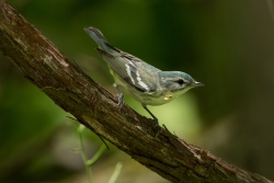 Fundraising Page Image