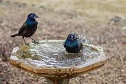 Fundraising Page Image