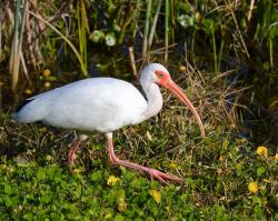 Fundraising Page Image