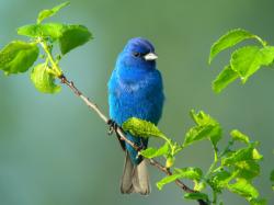 Fundraising Page Image