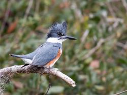 Fundraising Page Image