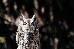 Fundraising Page Image