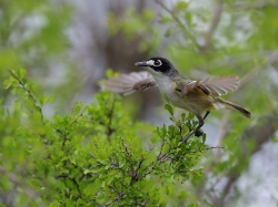 Fundraising Page Image