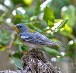 Fundraising Page Image