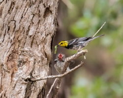 Fundraising Page Image