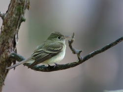 Fundraising Page Image