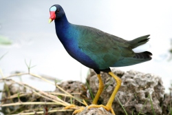 Fundraising Page Image