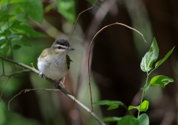 Fundraising Page Image