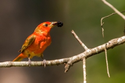 Fundraising Page Image